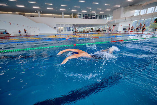 Bild von Schwimmtraining Delfin